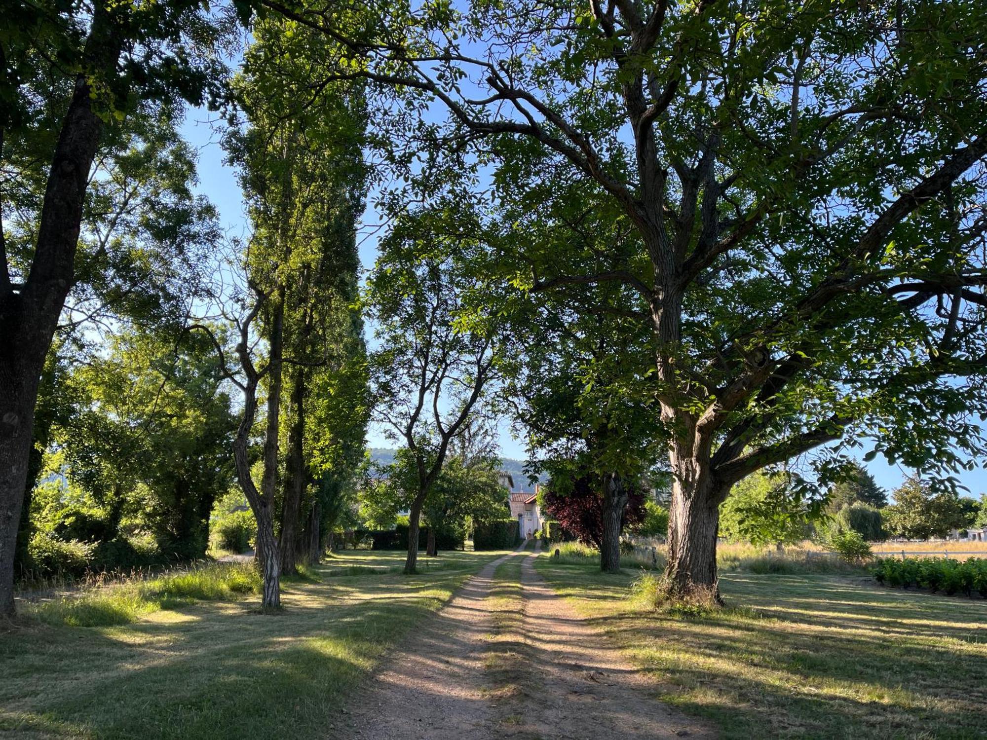 Villa Domaine De La Baisse à Saint-Etienne-la-Varenne Extérieur photo